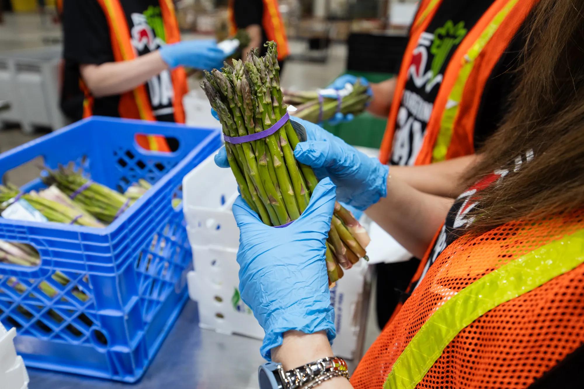 What Food and Beverage Companies Need to Know About Industrial Warehouse Space 
